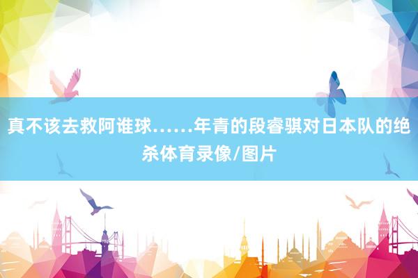真不该去救阿谁球……年青的段睿骐对日本队的绝杀体育录像/图片
