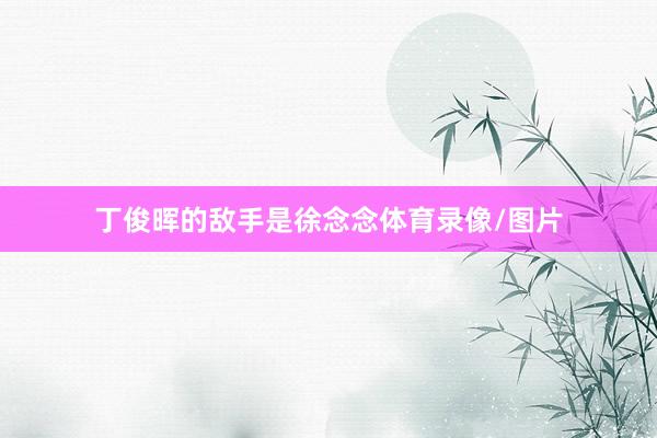 丁俊晖的敌手是徐念念体育录像/图片