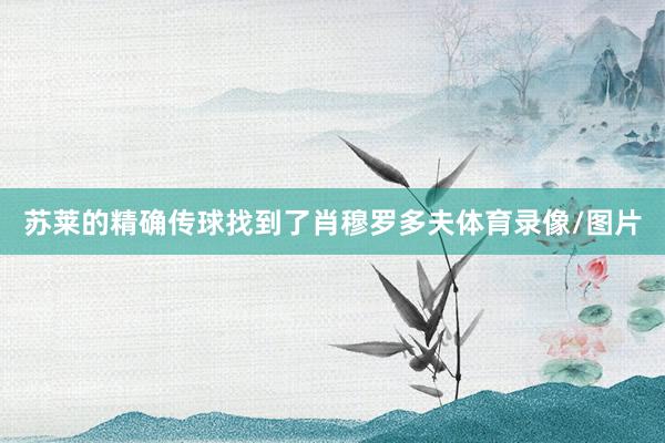 苏莱的精确传球找到了肖穆罗多夫体育录像/图片