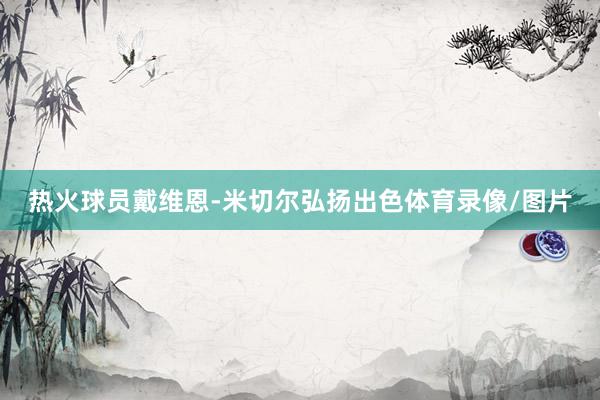 热火球员戴维恩-米切尔弘扬出色体育录像/图片
