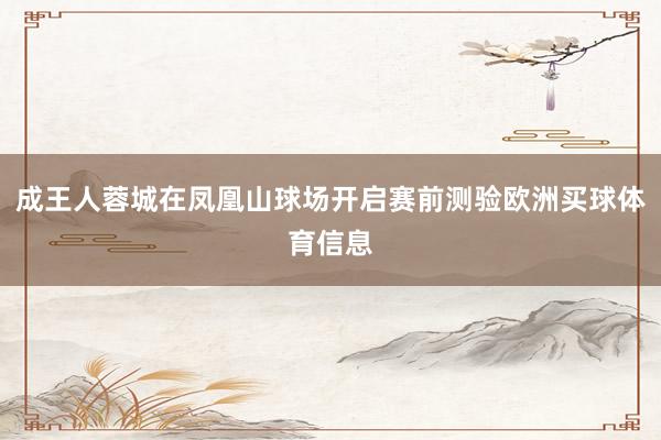成王人蓉城在凤凰山球场开启赛前测验欧洲买球体育信息